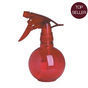 Vaporisateur a Eau - 200 ml